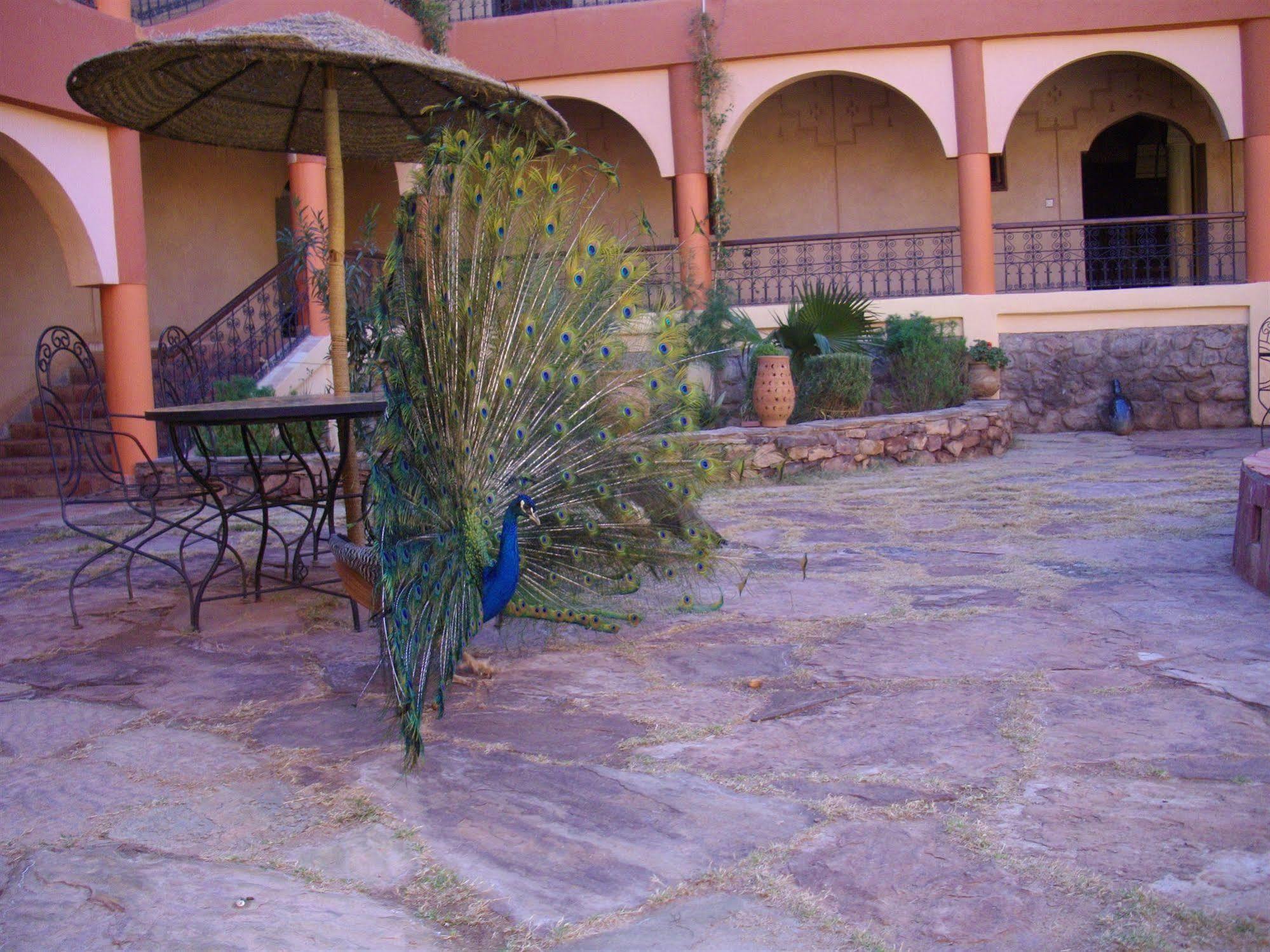 Kasbah Zitoune Tajda Экстерьер фото